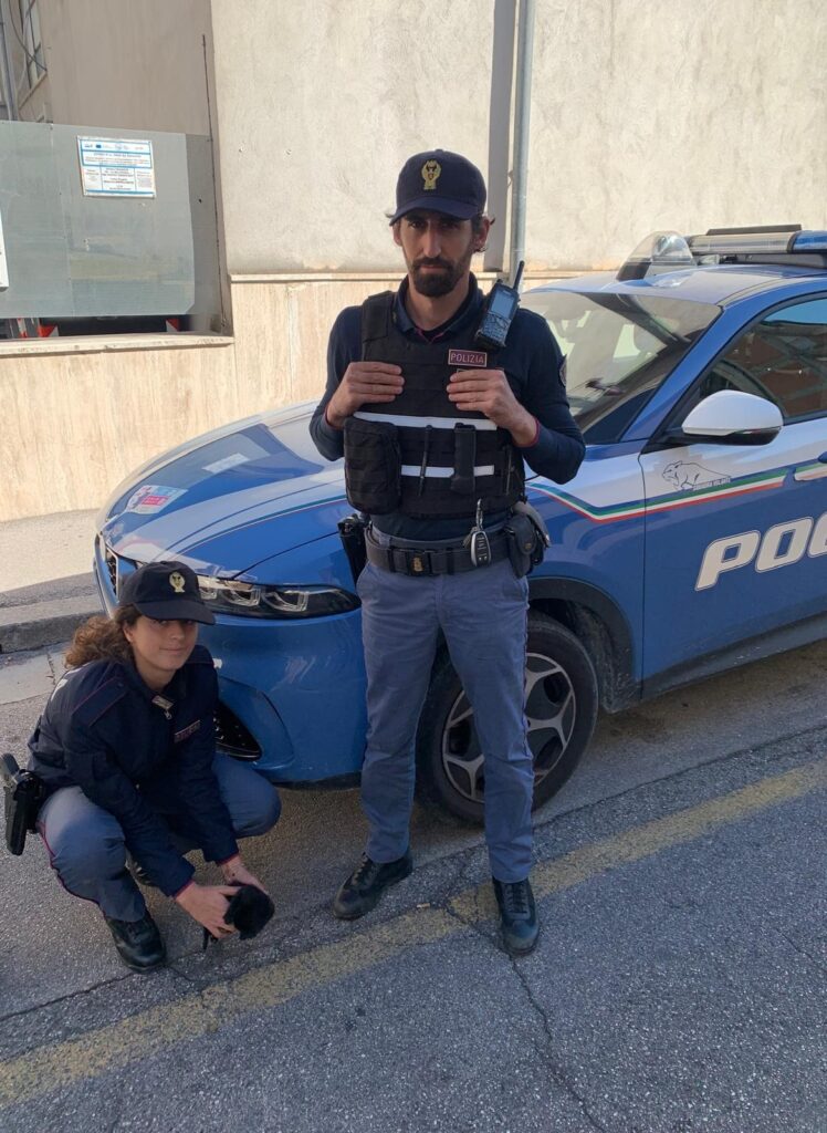 gattina trovata a Sora 3 - TG24.info